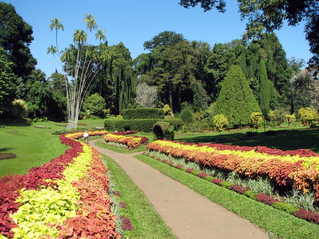 Kandy View Villa Zewnętrze zdjęcie